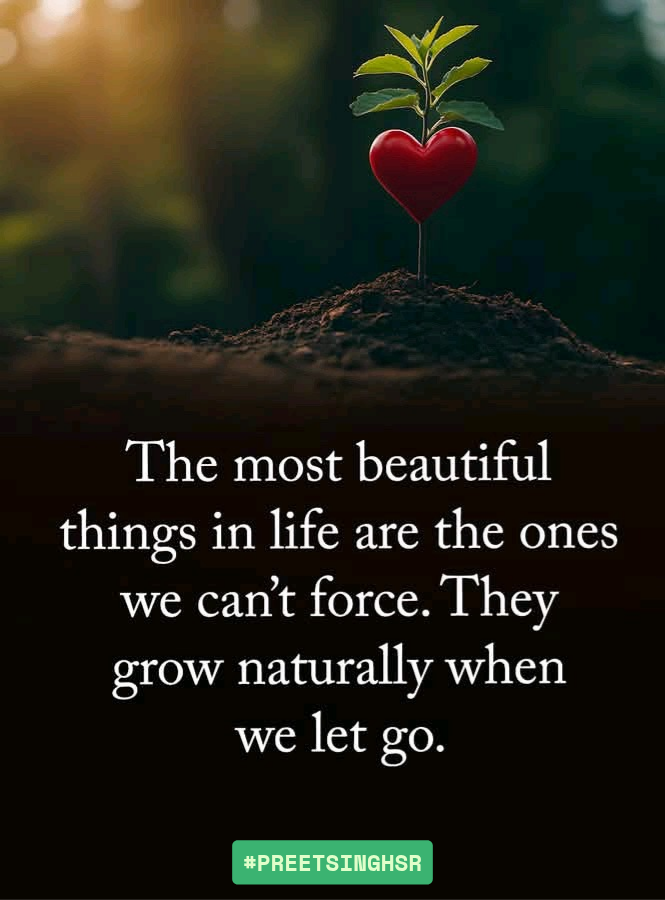 most beautiful things in life
